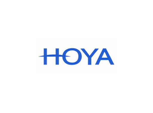 Web Output Project for HOYA Glass Disk Philippines